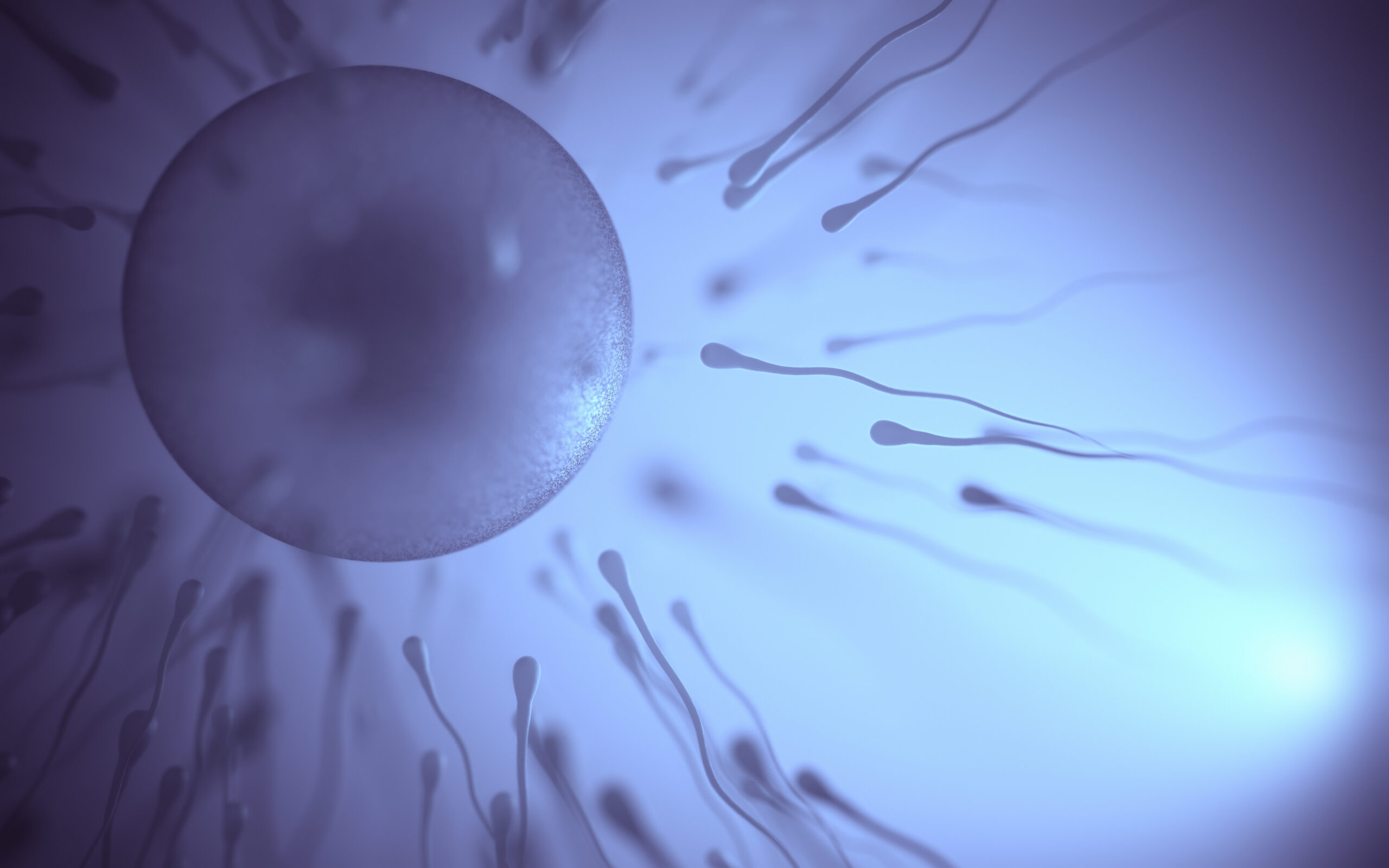 Acupuncture and TCM for Male Factor Infertility – What Does the Research Show?